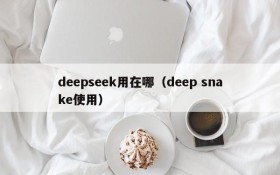 deepseek用在哪（deep snake使用）