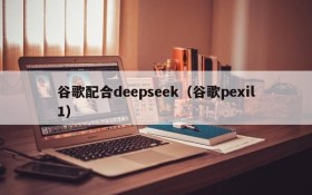 谷歌配合deepseek（谷歌pexil1）