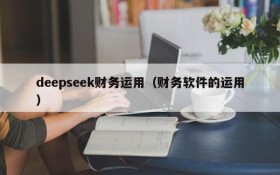 deepseek财务运用（财务软件的运用）