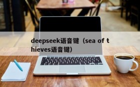 deepseek语音键（sea of thieves语音键）