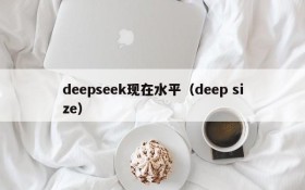 deepseek现在水平（deep size）