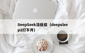 DeepSeek没反应（deepsleep2打不开）