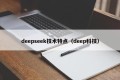 deepseek技术特点（deep科技）