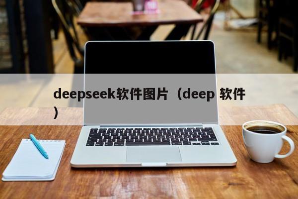 deepseek软件图片（deep 软件）
