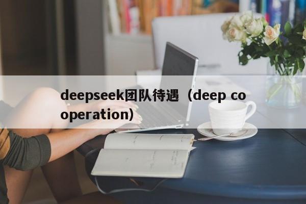 deepseek团队待遇（deep cooperation）