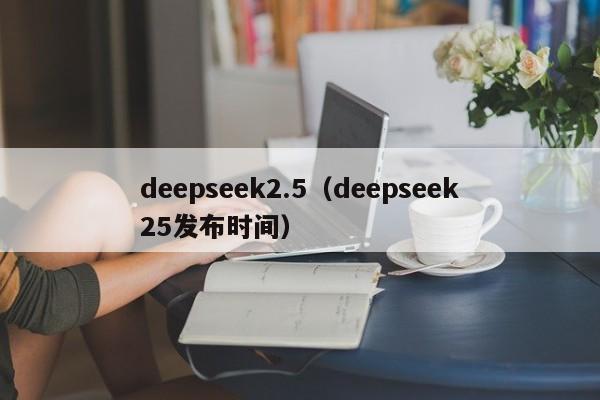 deepseek2.5（deepseek25发布时间）