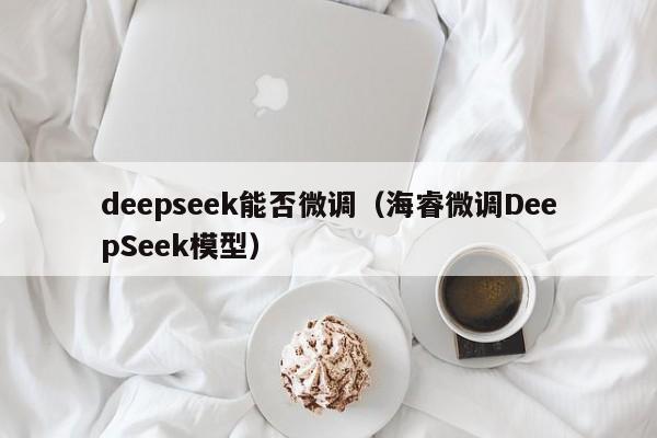 deepseek能否微调(海睿微调DeepSeek模型)