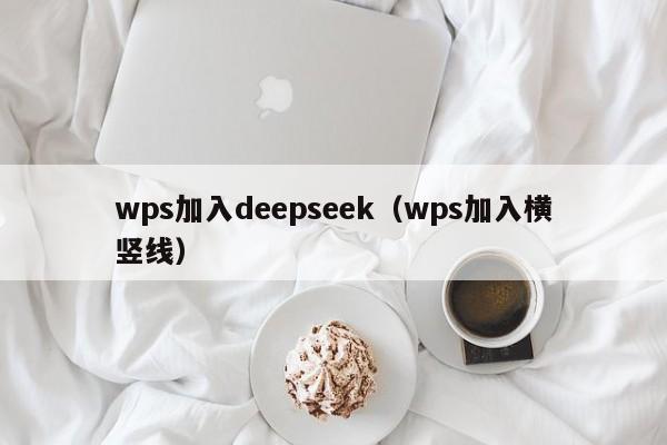 wps加入deepseek（wps加入横竖线）