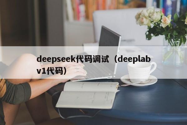 deepseek代码调试（deeplabv1代码）